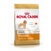 ROYAL CANIN BARBONE  ADULT 